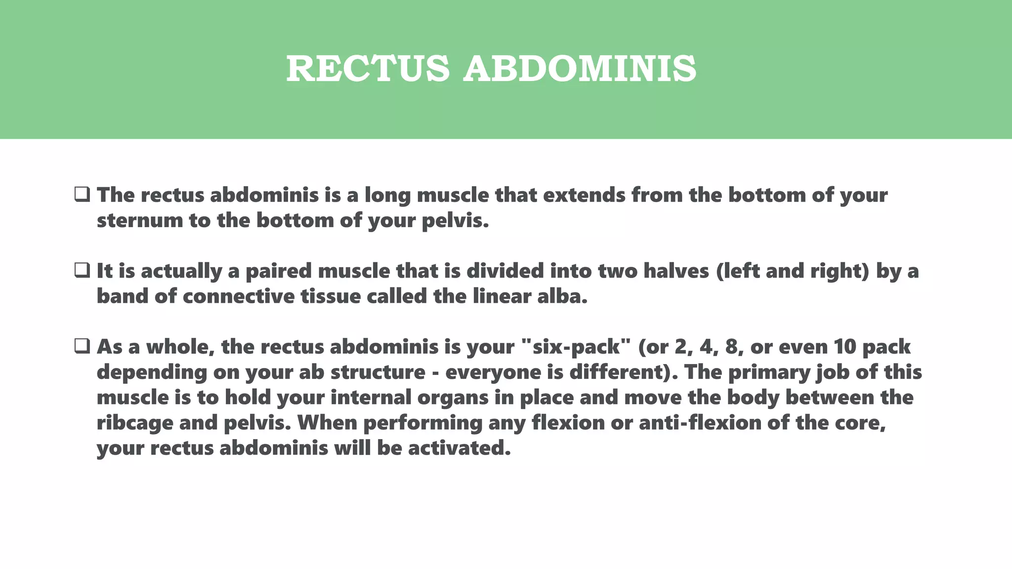 RECTUS ABDOMINIS
 The rectus abdominis is a long muscle that extends from the bottom of your
sternum to the bottom of your pelvis.
 It is actually a paired muscle that is divided into two halves (left and right) by a
band of connective tissue called the linear alba.
 As a whole, the rectus abdominis is your "six-pack" (or 2, 4, 8, or even 10 pack
depending on your ab structure - everyone is different). The primary job of this
muscle is to hold your internal organs in place and move the body between the
ribcage and pelvis. When performing any flexion or anti-flexion of the core,
your rectus abdominis will be activated.
 
