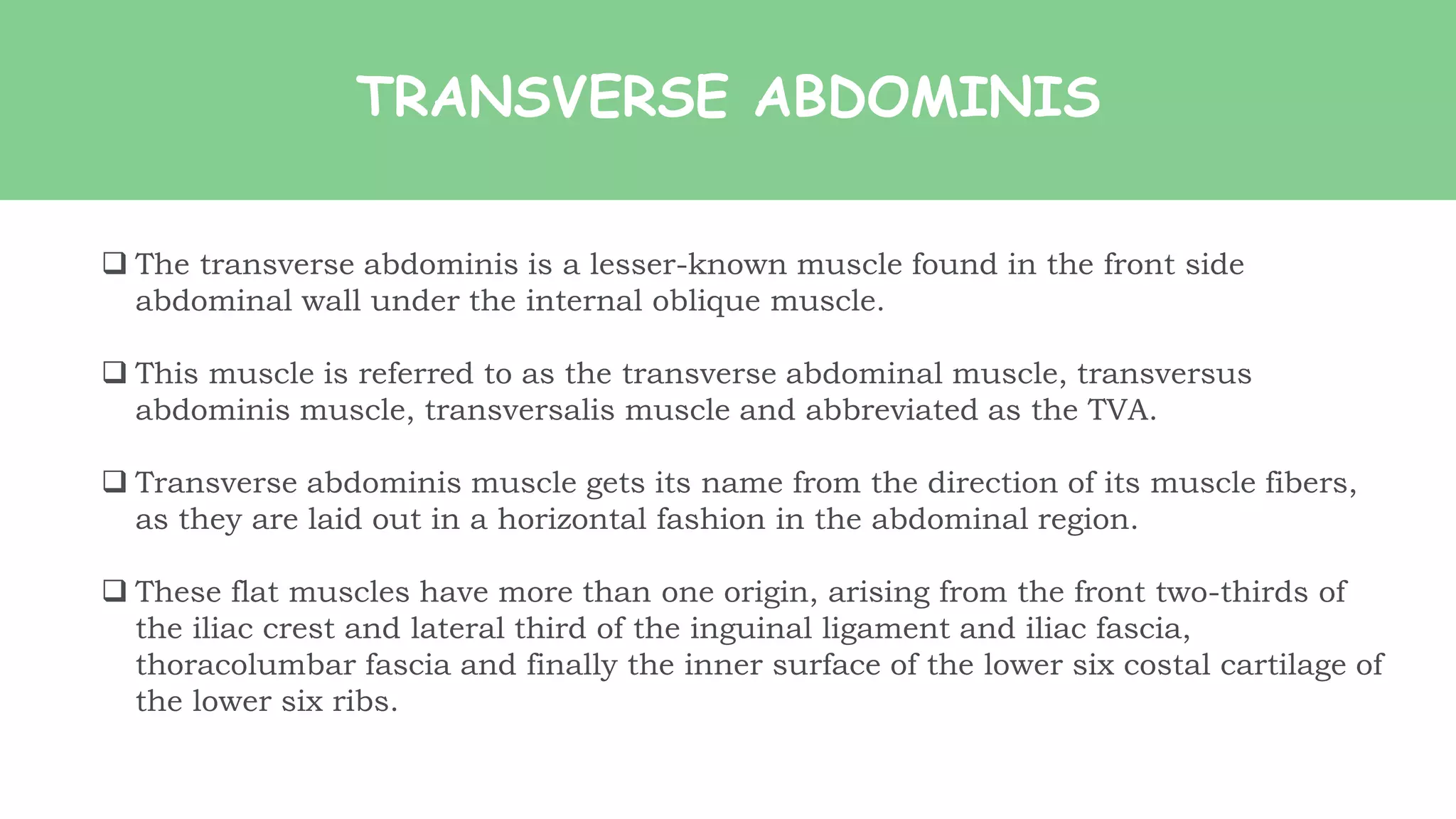 TRANSVERSE ABDOMINIS
 The transverse abdominis is a lesser-known muscle found in the front side
abdominal wall under the internal oblique muscle.
 This muscle is referred to as the transverse abdominal muscle, transversus
abdominis muscle, transversalis muscle and abbreviated as the TVA.
 Transverse abdominis muscle gets its name from the direction of its muscle fibers,
as they are laid out in a horizontal fashion in the abdominal region.
 These flat muscles have more than one origin, arising from the front two-thirds of
the iliac crest and lateral third of the inguinal ligament and iliac fascia,
thoracolumbar fascia and finally the inner surface of the lower six costal cartilage of
the lower six ribs.
 