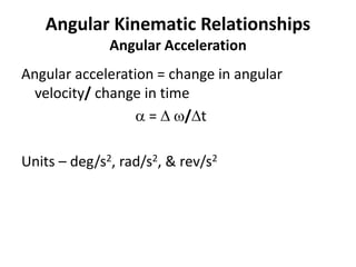 Angular Kinematic Relationships
Angular Acceleration
Angular acceleration = change in angular
velocity/ change in time
 =  /t
Units – deg/s2, rad/s2, & rev/s2
 