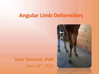 Angular Limb Deformities
Dane Tatarniuk, DVM
June 26th, 2013
 