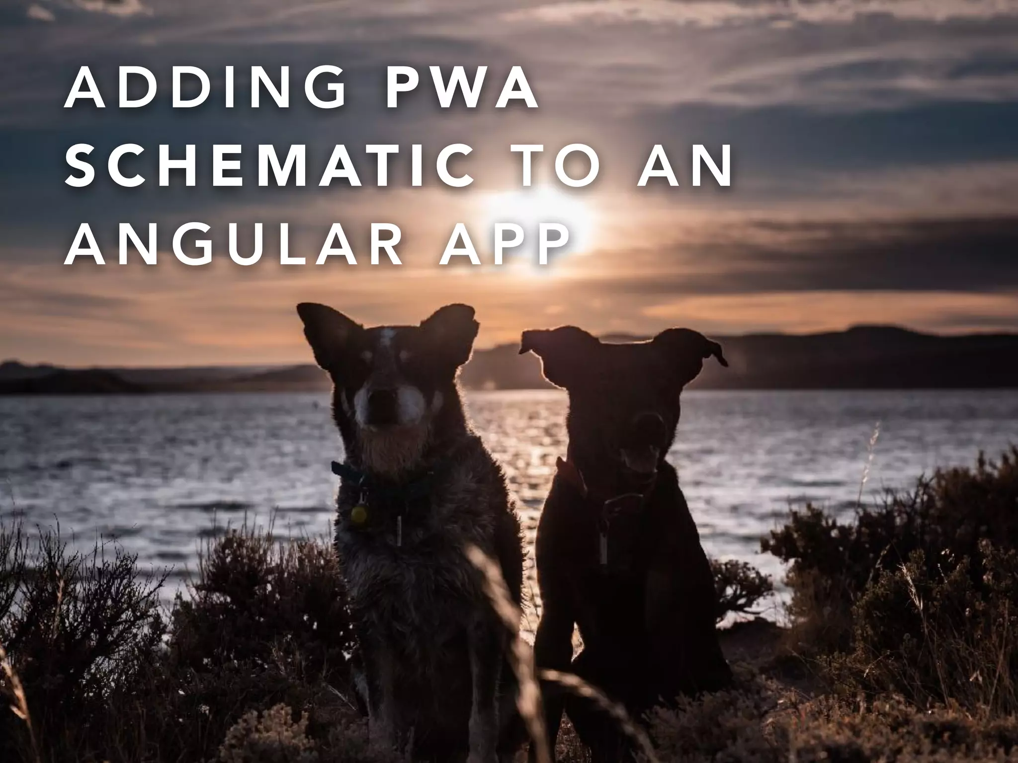 @onderceylan
A D D I N G P WA
S C H E M AT I C T O A N
A N G U L A R A P P
 