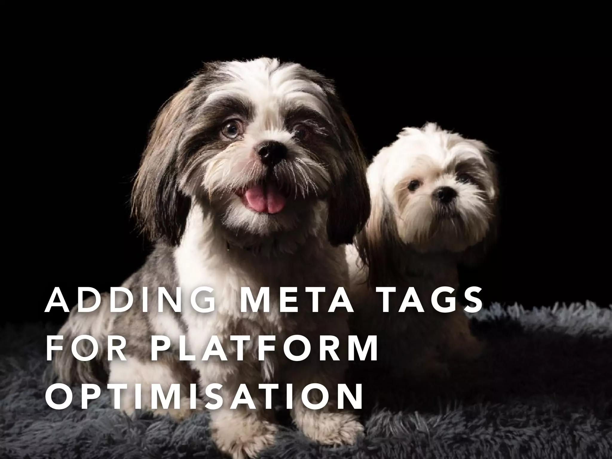 @onderceylan
A D D I N G M E TA TA G S
F O R P L AT F O R M
O P T I M I S AT I O N
 