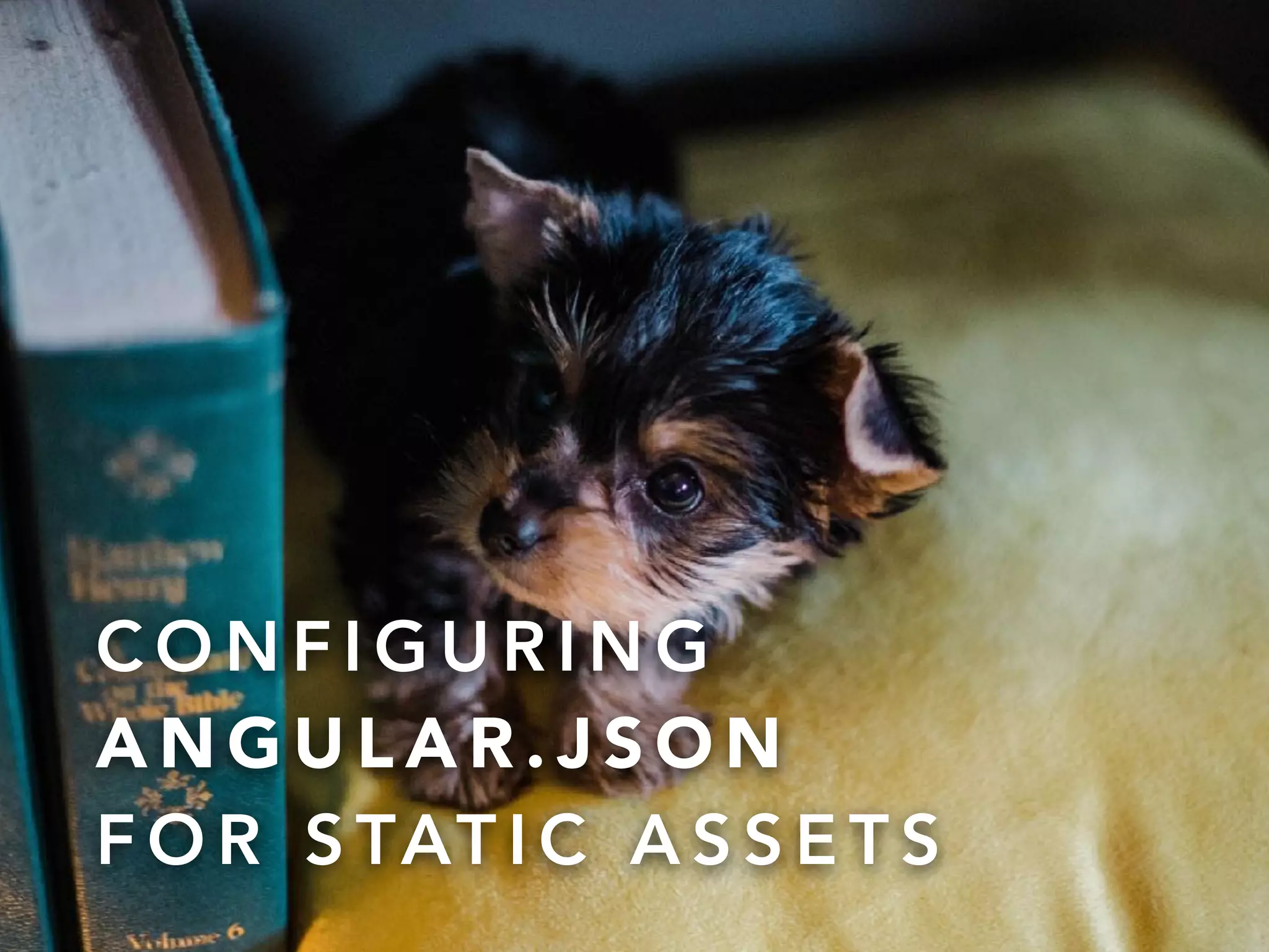 @onderceylan
C O N F I G U R I N G  
A N G U L A R . J S O N
F O R S TAT I C A S S E T S
 