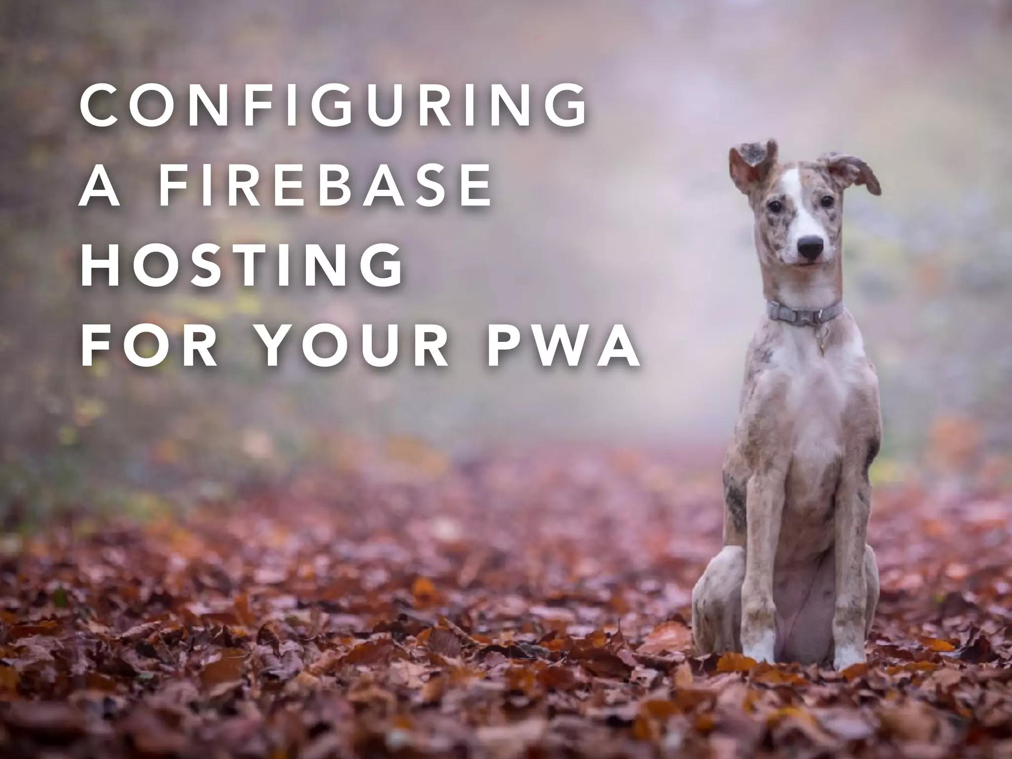 @onderceylan
C O N F I G U R I N G  
A F I R E B A S E  
H O S T I N G  
F O R Y O U R P WA
 