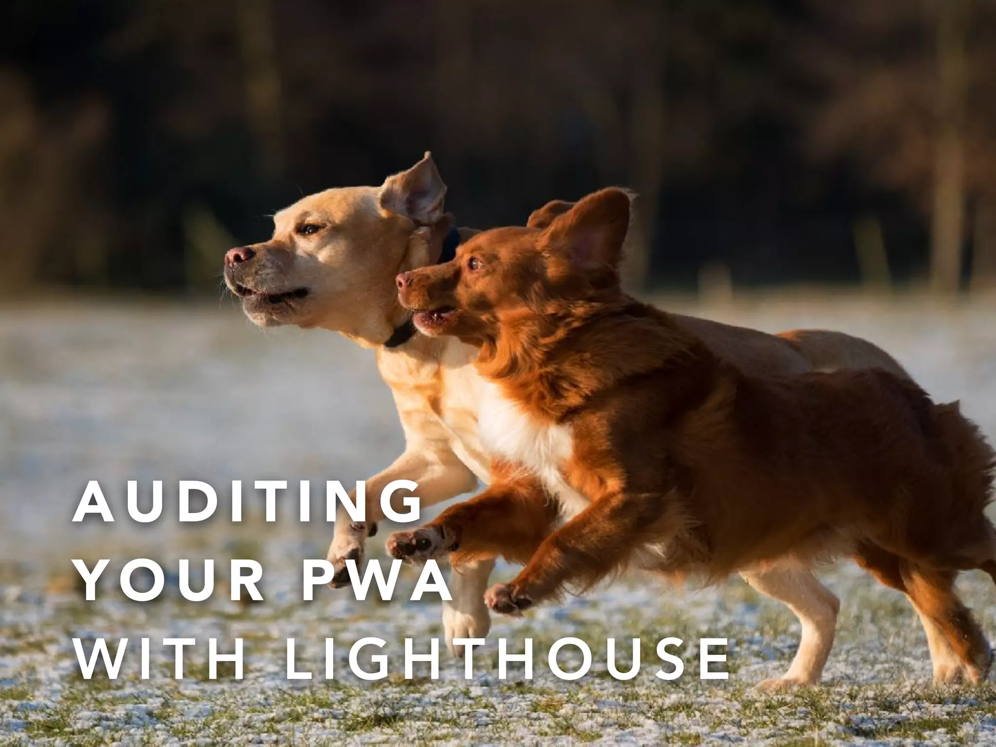 @onderceylan
A U D I T I N G  
Y O U R P WA
W I T H L I G H T H O U S E
 