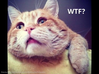 Photo by: https://www.facebook.com/ClaudineStrummerPhotography/
WTF?
 