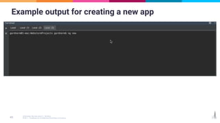 Example output for creating a new app
 