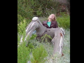 Angulo perfeito-de-uma-foto