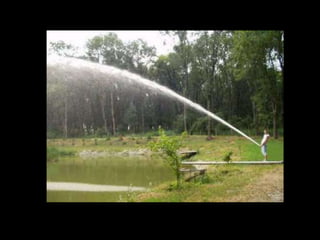 Angulo perfeito-de-uma-foto