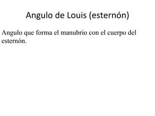 Angulo de Louis (esternón) Angulo que forma el manubrio con el cuerpo del esternón.  