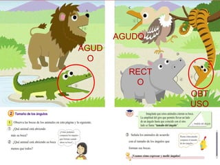 AGUD
O
AGUDO
RECT
O
OBT
USO
 