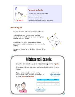 Angulos | DOCX