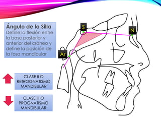 CLASE II O
RETROGNATISMO
MANDIBULAR
CLASE III O
PROGNATISMO
MANDIBULAR
Ángulo de la Silla
Define la flexión entre
la base posterior y
anterior del cráneo y
define la posición de
la fosa mandibular
S
N
Ar
 