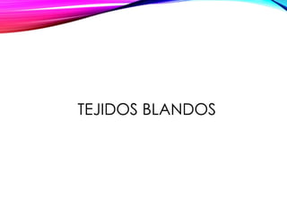 TEJIDOS BLANDOS
 