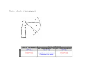 Flexión y extensión de la cabeza y cuello 




                                                                      Cuerpo en Movi mi ento
                     Cuerpo en Postura estática 
                                                   Baja Frecuenci a (Menos 2 min.)  Alta Fecuencia (m ás 2 m in.) 
                I           ACEPTABLE                       ACEPTABLE                       ACEPTABLE 

               II          INACEPTABLE              Aceptable en caso de mantener          INACEPTABLE 
                                                      la postura por corto tiempo. 
 