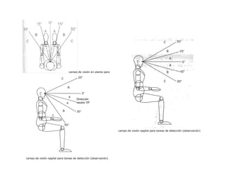 campo de visión en planta para 
                                tareas de control 




                                      Dirección 
                                      neutra 15º 




                                                                  campo de visión sagital para tareas de detección (observación) 




campo de visión sagital para tareas de detección (observación)
 
