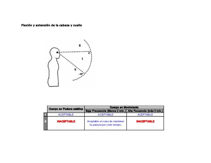 Angulos De Confort Vision