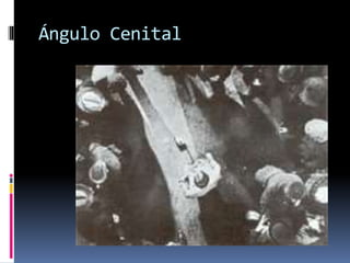 Ángulo Cenital
 