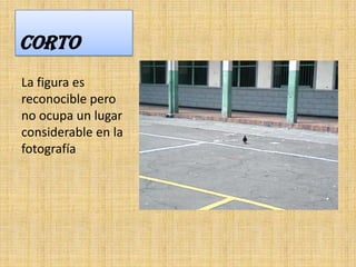 CORTO
La figura es
reconocible pero
no ocupa un lugar
considerable en la
fotografía
 
