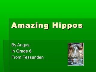 Amazing HipposAmazing Hippos
By AngusBy Angus
In Grade 6In Grade 6
From FessendenFrom Fessenden
 