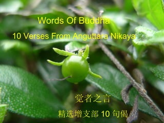Words Of Buddha 10 Verses From Anguttara Nikaya 觉者之言 精选增支部 10 句偈 