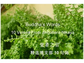 Buddha’s Words 10 Verses From Anguttara Nikaya 觉者之言 精选增支部 10 句偈 