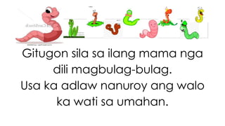 Gitugon sila sa ilang mama nga 
dili magbulag-bulag. 
Usa ka adlaw nanuroy ang walo 
ka wati sa umahan. 
 
