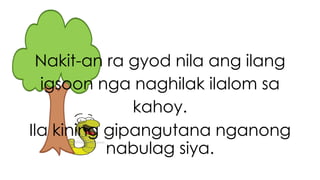 Nakit-an ra gyod nila ang ilang 
igsoon nga naghilak ilalom sa 
kahoy. 
Ila kining gipangutana nganong 
nabulag siya. 
 