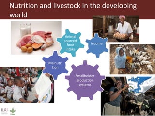  Exploring patterns in child nutrition and livestock ownership in East Africa