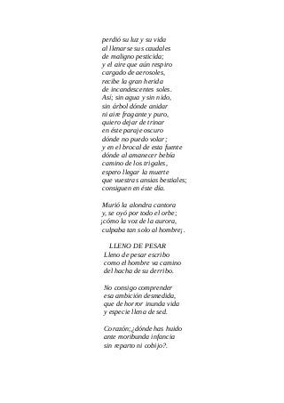 perdió su luz y su vida
al llenarse sus caudales
de maligno pesticida;
y el aire que aún respiro
cargado de aerosoles,
recibe la gran herida
de incandescentes soles.
Así; sin agua y sin nido,
sin árbol dónde anidar
ni aire fragante y puro,
quiero dejar de trinar
en éste paraje oscuro
dónde no puedo volar;
y en el brocal de esta fuente
dónde al amanecer bebía
camino de los trigales,
espero llegar la muerte
que vuestras ansias bestiales;
consiguen en éste día.
Murió la alondra cantora
y, se oyó por todo el orbe;
¡cómo la voz de la aurora,
culpaba tan solo al hombre¡.
LLENO DE PESAR
Lleno de pesar escribo
como el hombre va camino
del hacha de su derribo.
No consigo comprender
esa ambición desmedida,
que de horror inunda vida
y especie llena de sed.
Corazón;¿dónde has huido
ante moribunda infancia
sin reparto ni cobijo?.
 