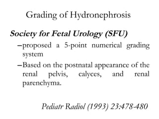Grading of Hydronephrosis  Society for Fetal Urology (SFU)  proposed a 5-point numerical grading system  Based on the postnatal appearance of the renal pelvis, calyces, and renal parenchyma. Pediatr Radiol (1993) 23:478-480  