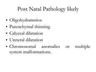 Post Natal Pathology likely Oligohydramnios Parenchymal thinning Calyceal dilatation Ureteral dilatation Chromosomal anomalies or multiple system malformations. 