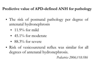 Predictive value of APD-defined ANH for pathology The risk of postnatal pathology per degree of antenatal hydronephrosis  11.9% for mild 45.1% for moderate  88.3% for severe Risk of vesicoureteral reflux was similar for all degrees of antenatal hydronephrosis. Pediatrics 2006;118:586 