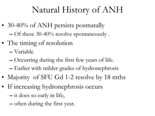 Natural History of ANH 30-40% of ANH persists postnatally  Of these 30-40% resolve spontaneously . The timing of resolution  Variable Occurring during the first few years of life. Earlier with milder grades of hydronephrosis Majority  of SFU Gd 1-2 resolve by 18 mths If increasing hydronephrosis occurs it does so early in life,  often during the first year. 