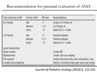 Recommendation for prenatal evaluation of ANH Journal of Pediatric Urology (2010) 6, 212-231 