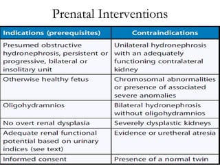 Prenatal Interventions 