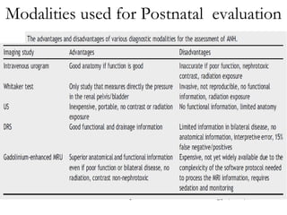 Modalities used for Postnatal  evaluation Journal of Pediatric Urology (2010) 6, 212-231   