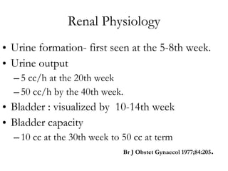 Renal Physiology Urine formation- first seen at the 5-8th week. Urine output  5 cc/h at the 20th week  50 cc/h by the 40th week. Bladder : visualized by  10-14th week  Bladder capacity  10 cc at the 30th week to 50 cc at term Br J Obstet Gynaecol 1977;84:205 . 