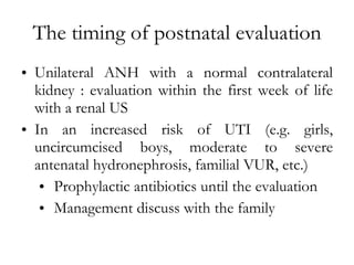 The timing of postnatal evaluation Unilateral ANH with a normal contralateral kidney : evaluation within the first week of life with a renal US  In an increased risk of UTI (e.g. girls, uncircumcised boys, moderate to severe antenatal hydronephrosis, familial VUR, etc.)  Prophylactic antibiotics until the evaluation Management discuss with the family  