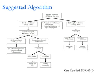 Suggested Algorithm Curr Opn Ped 2009;207-13 