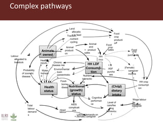 The influence of livestock-derived foods on nutrition in the first 1,000 days of life: Research report launch