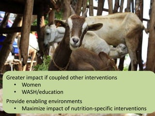 The influence of livestock-derived foods on nutrition in the first 1,000 days of life: Research report launch