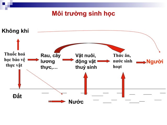 Anh huong toi moi truong va da dang sinh hoc | PPT