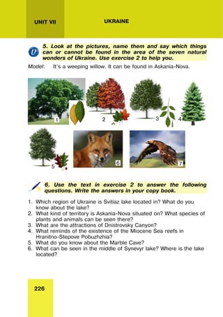 226
UNIT VII UKRAINE
5. Look at the pictures, name them and say which things
can or cannot be found in the area of the seven natural
wonders of Ukraine. Use exercise 2 to help you.
Model: It’s a weeping willow. It can be found in Askania-Nova.
6. Use the text in exercise 2 to answer the following
questions. Write the answers in your copy book.
1. Which region of Ukraine is Svitiaz lake located in? What do you
know about the lake?
2. What kind of territory is Askania-Nova situated on? What species of
plants and animals can be seen there?
3. What are the attractions of Dnistrovsky Canyon?
4. What reminds of the existence of the Miocene Sea reefs in
Hranitno-Stepove Pobuzhzhia?
5. What do you know about the Marble Cave?
6. What can be seen in the middle of Synevyr lake? Where is the lake
located?
1 2 3 4
5
6 7
 