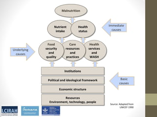 Core disciplines in agriculture-nutrition-health research: Nutrition