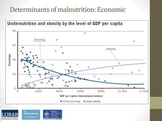 Core disciplines in agriculture-nutrition-health research: Nutrition