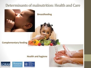 Core disciplines in agriculture-nutrition-health research: Nutrition