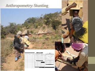 Core disciplines in agriculture-nutrition-health research: Nutrition
