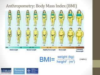Core disciplines in agriculture-nutrition-health research: Nutrition