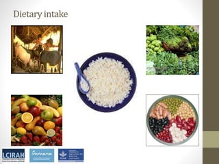 Core disciplines in agriculture-nutrition-health research: Nutrition